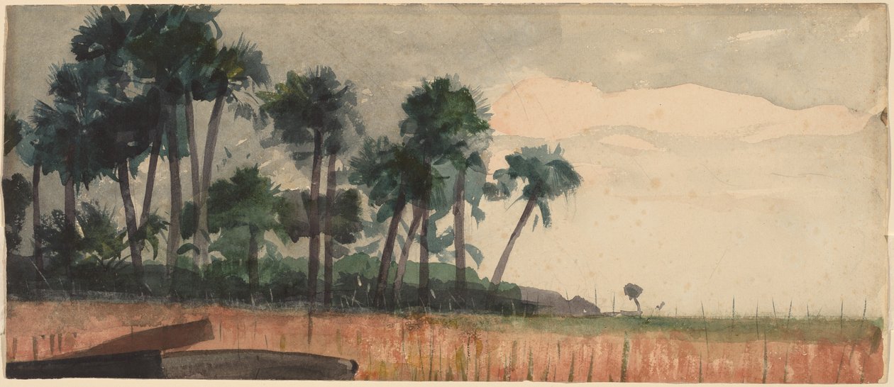 Palmeras, rojo de Winslow Homer