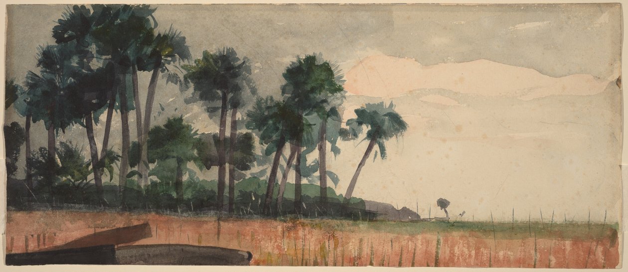 Palmeras rojas de Winslow Homer
