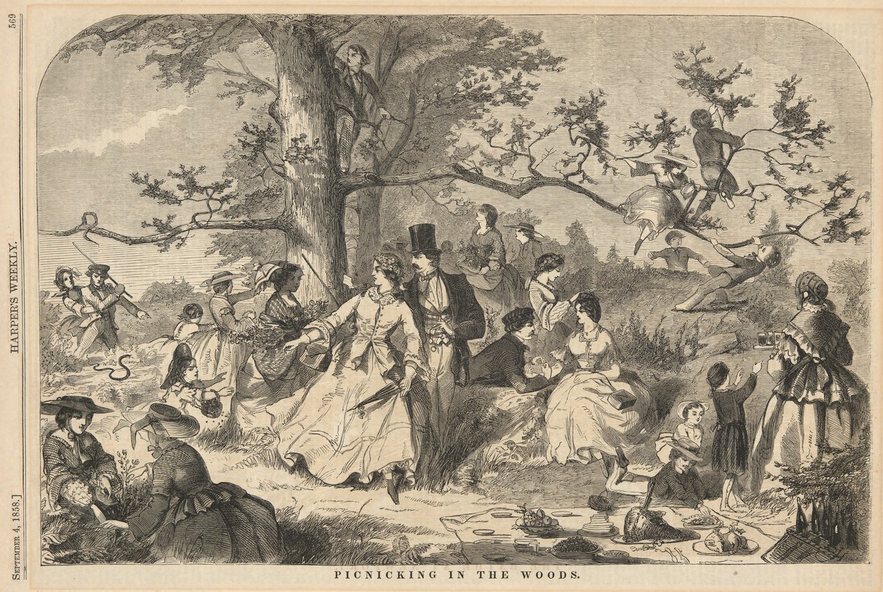 De picnic en el bosque, de Harper de Winslow Homer