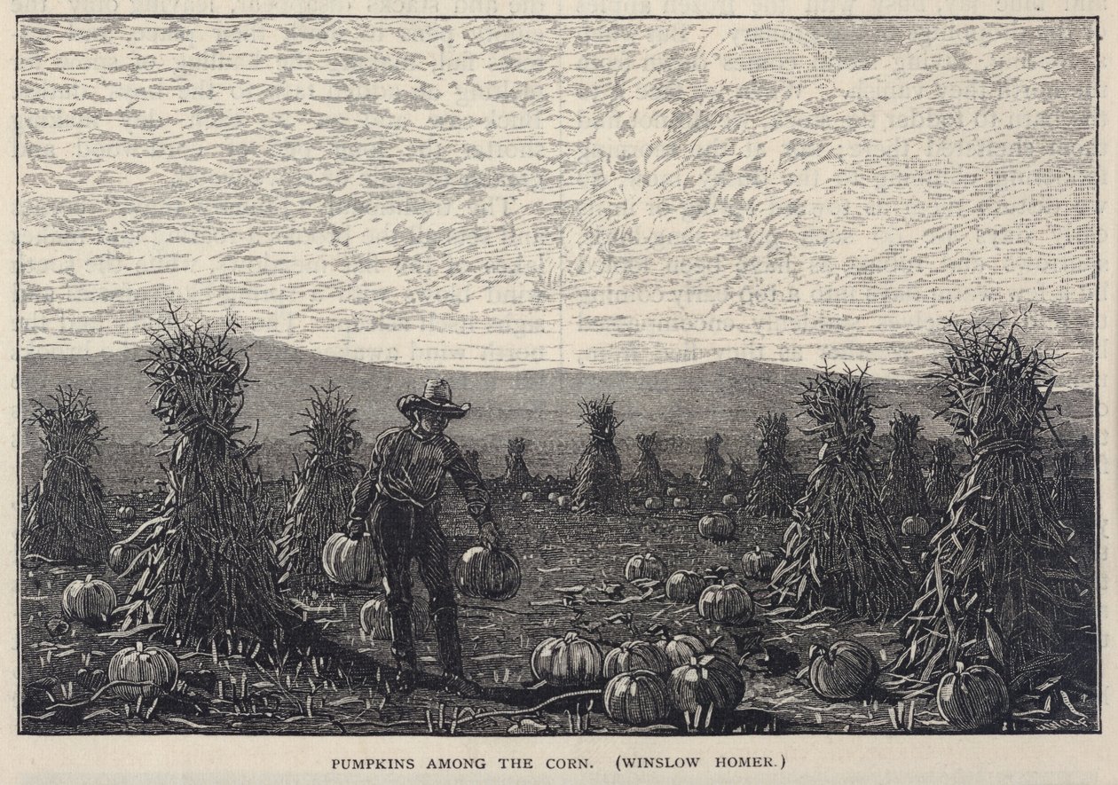 Pumpkins Among the Corn, de Scribner