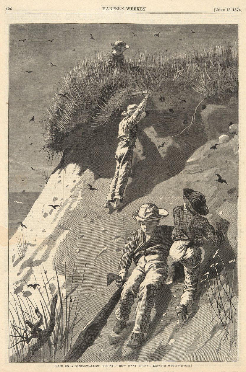 Incursión en una colonia de golondrinas de arena de Winslow Homer