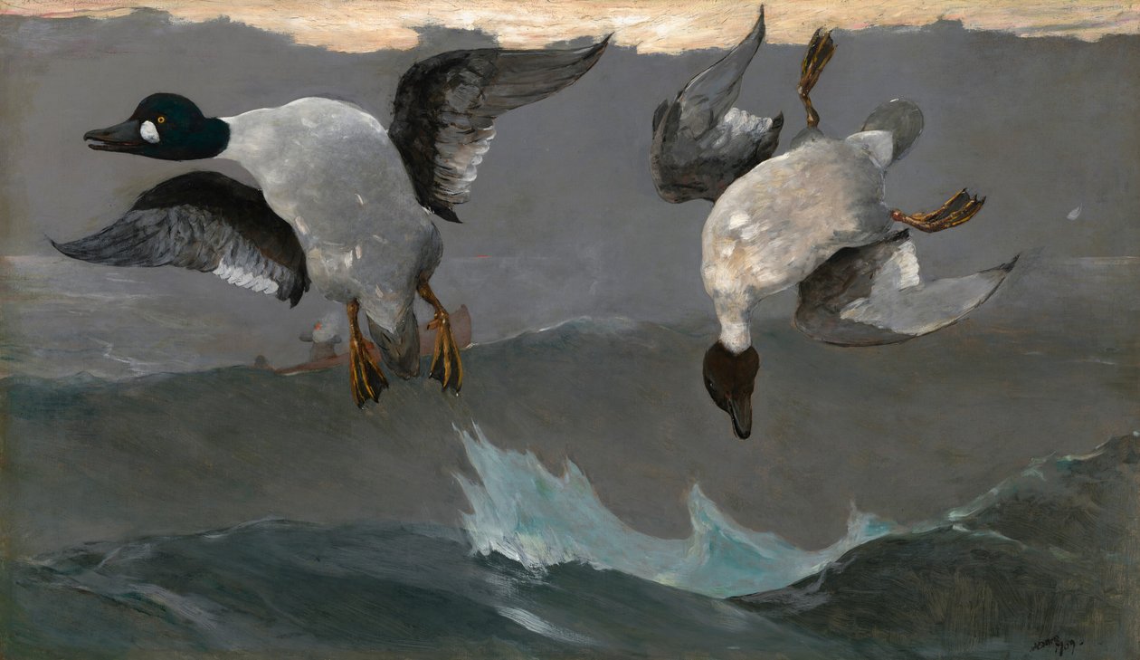 Derecha e izquierda de Winslow Homer