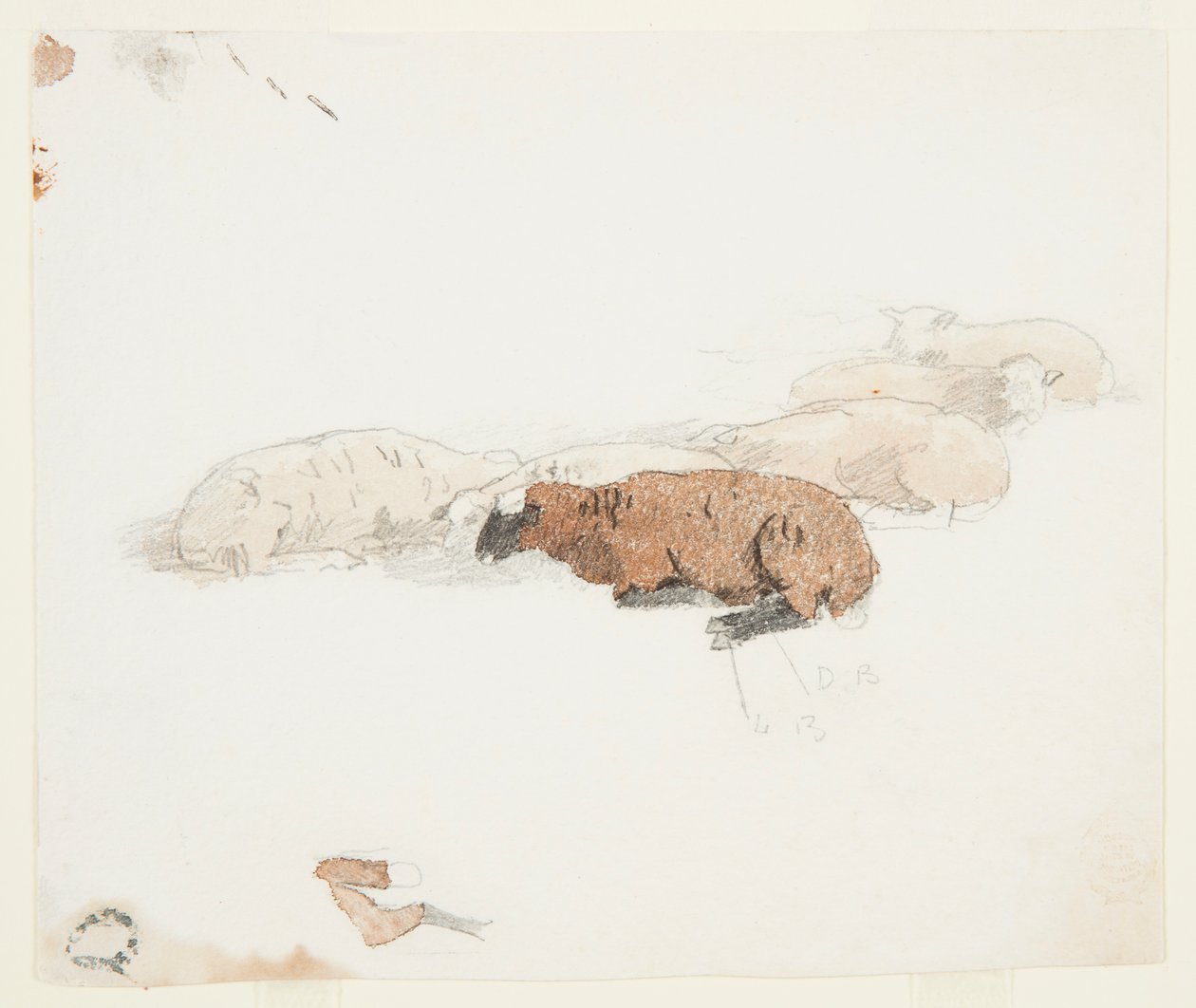 Ovejas descansando de Winslow Homer