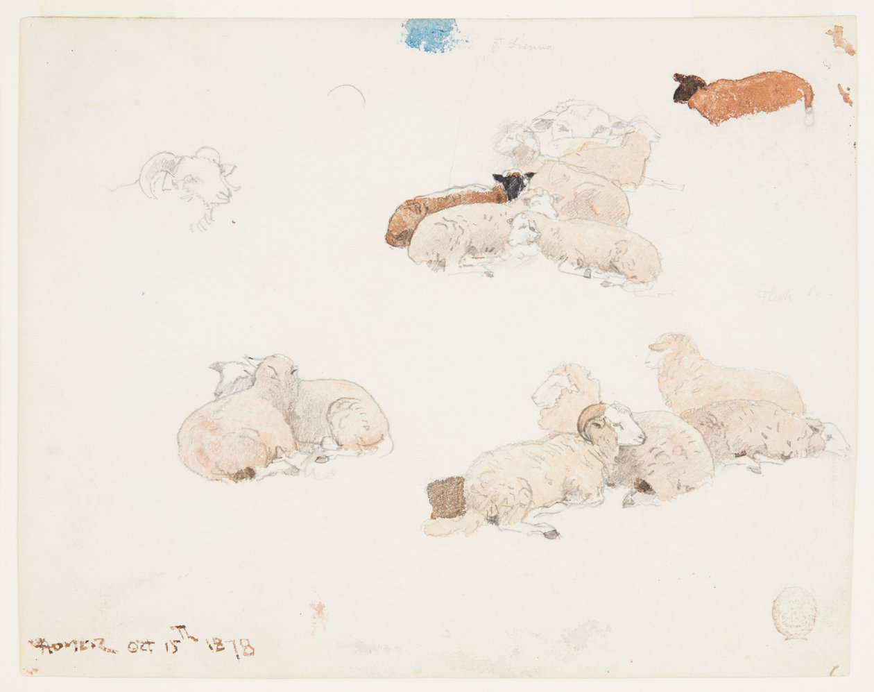 Ovejas descansando de Winslow Homer