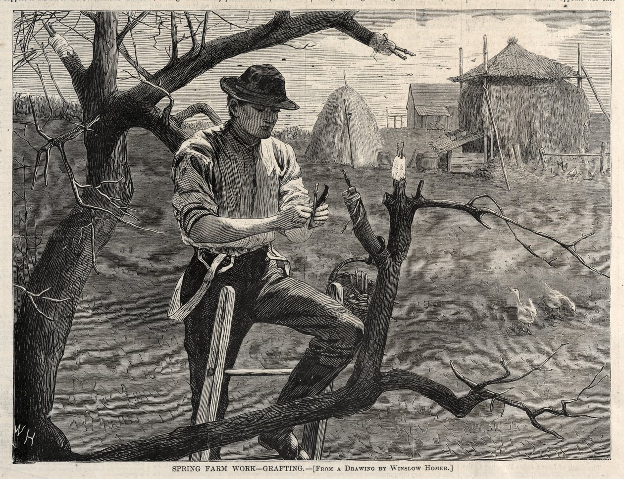 Trabajo de granja en primavera - Injerto de Winslow Homer