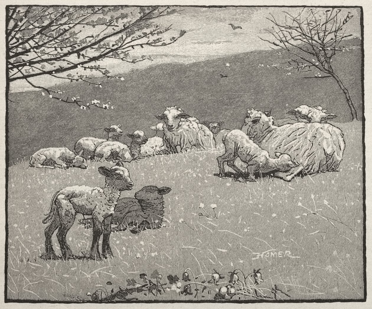 Cordero de primavera de Winslow Homer