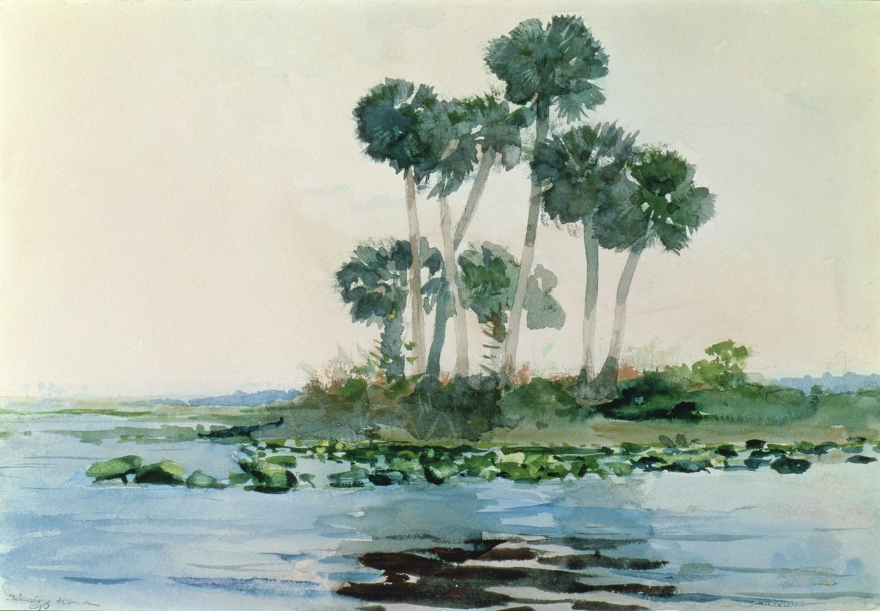 Río St. John