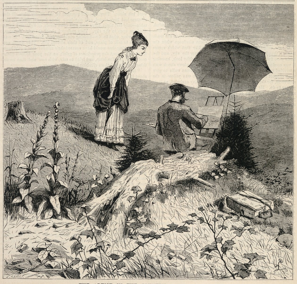 The Artist in the Country, de Appletons