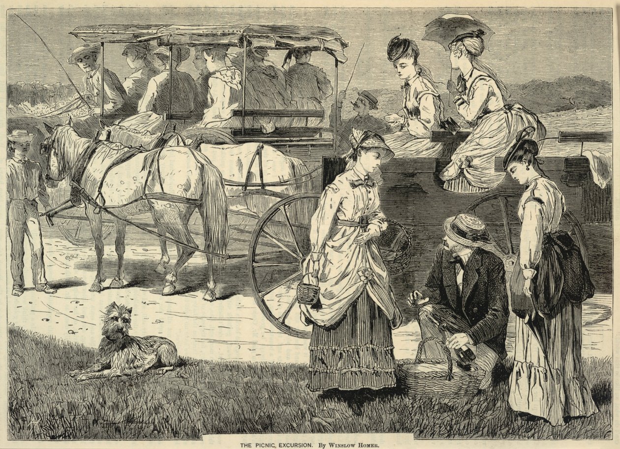 The Picnic Excursion, de Appletons
