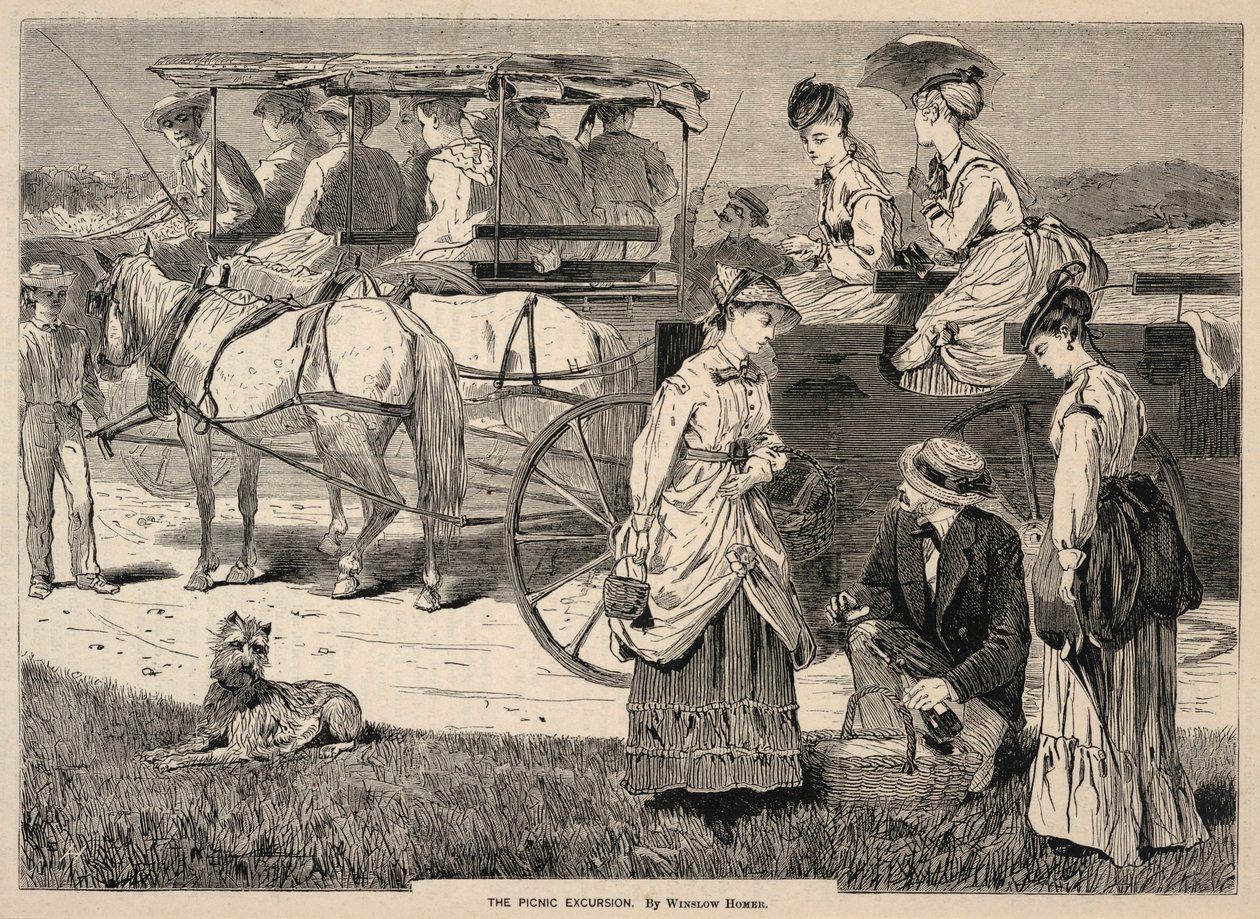 The Picnic Excursion, de Appletons