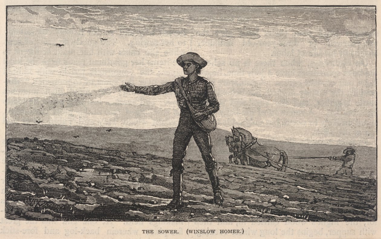 The Sower, de Scribner