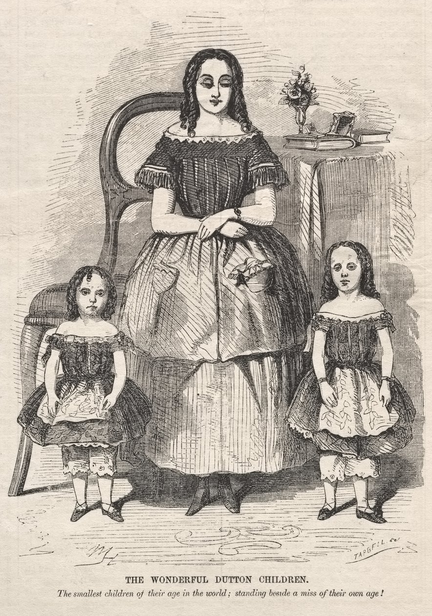 Los maravillosos niños Dutton de Winslow Homer