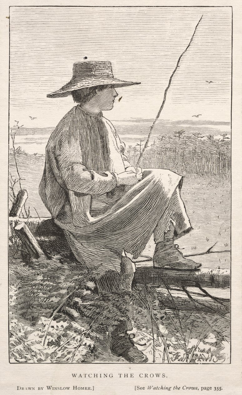 Observando los cuervos, 1868 de Winslow Homer