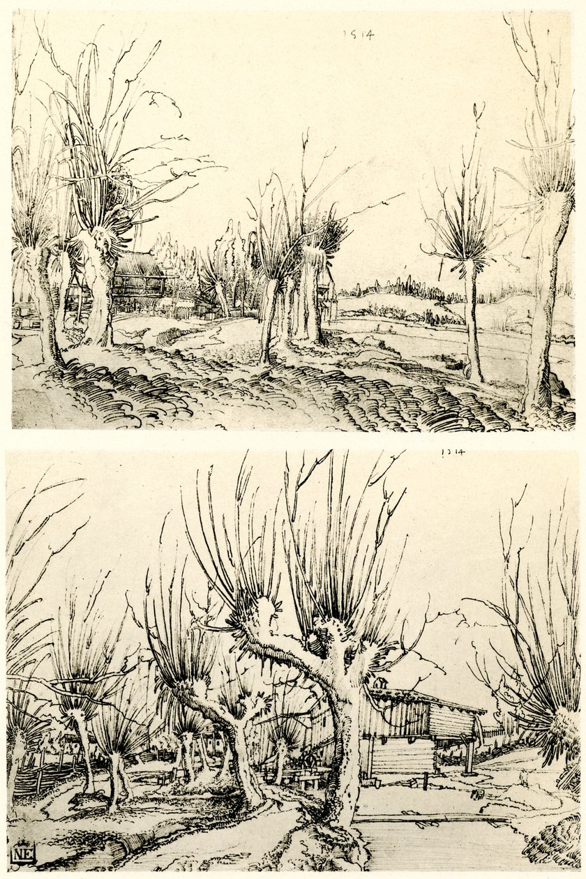 Paisajes con árboles de sauce de Wolf Huber