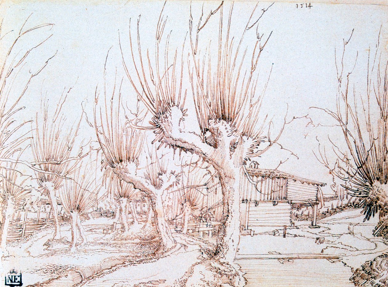 Plantación de sauces, 1514 de Wolf Huber