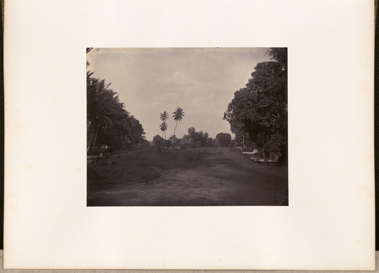 [Trabajos de pavimentación en la carretera de Prapatan, Batavia] de Woodbury and Page