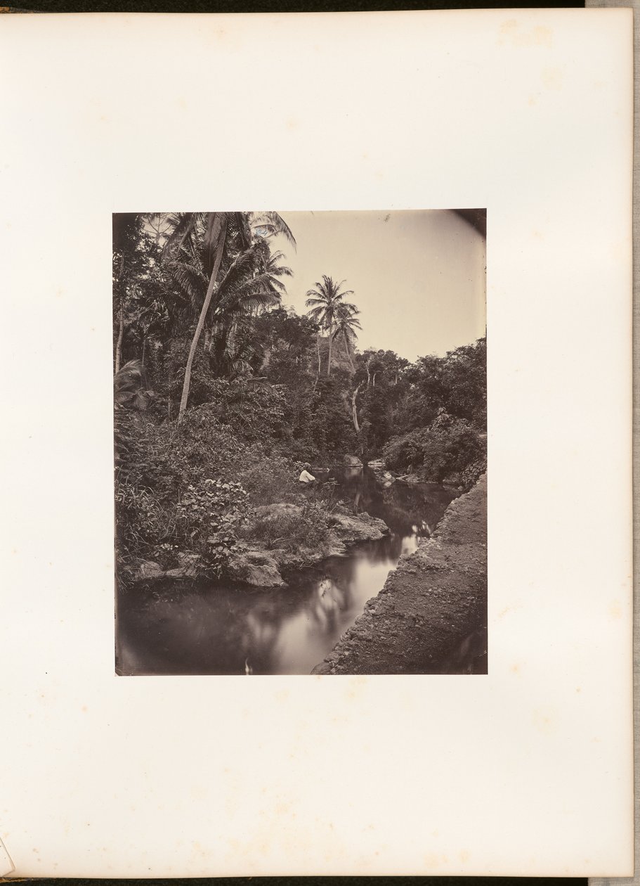 [Río en Kupang] de Woodbury and Page