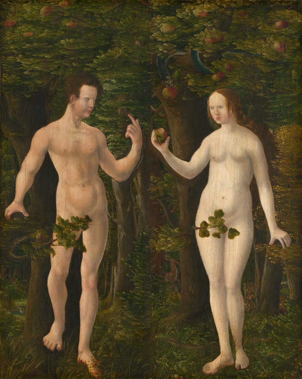 La caída del hombre [panel central] de Workshop of Albrecht Altdorfer