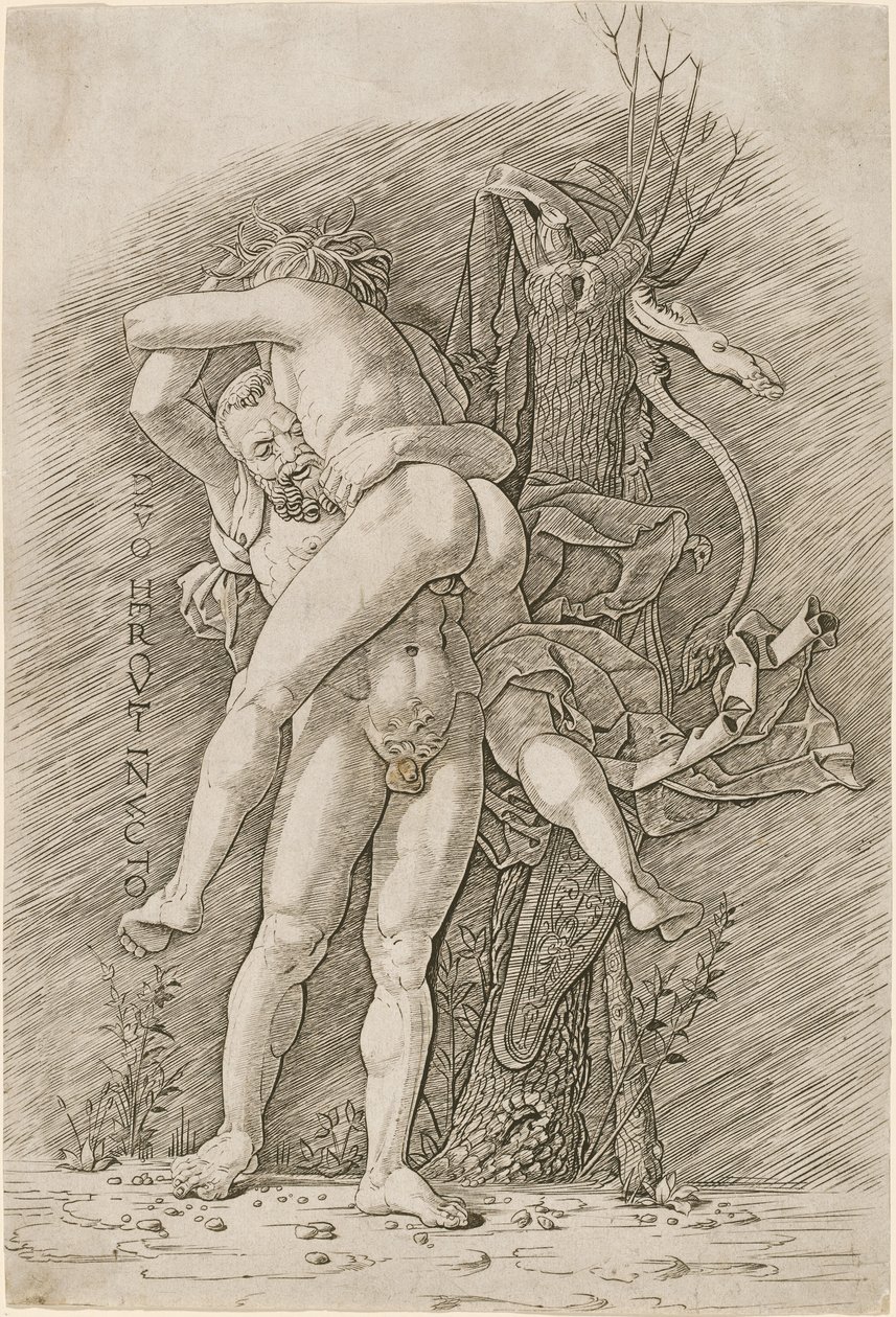 Hércules y Anteo de Workshop of Andrea Mantegna