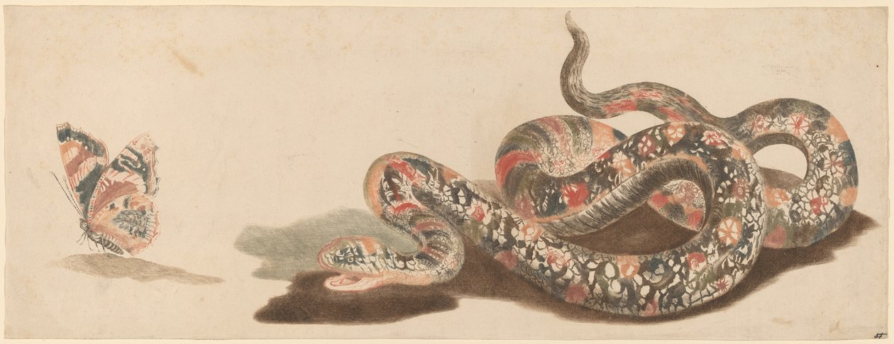 Serpiente y mariposa de Workshop of Johann Teyler