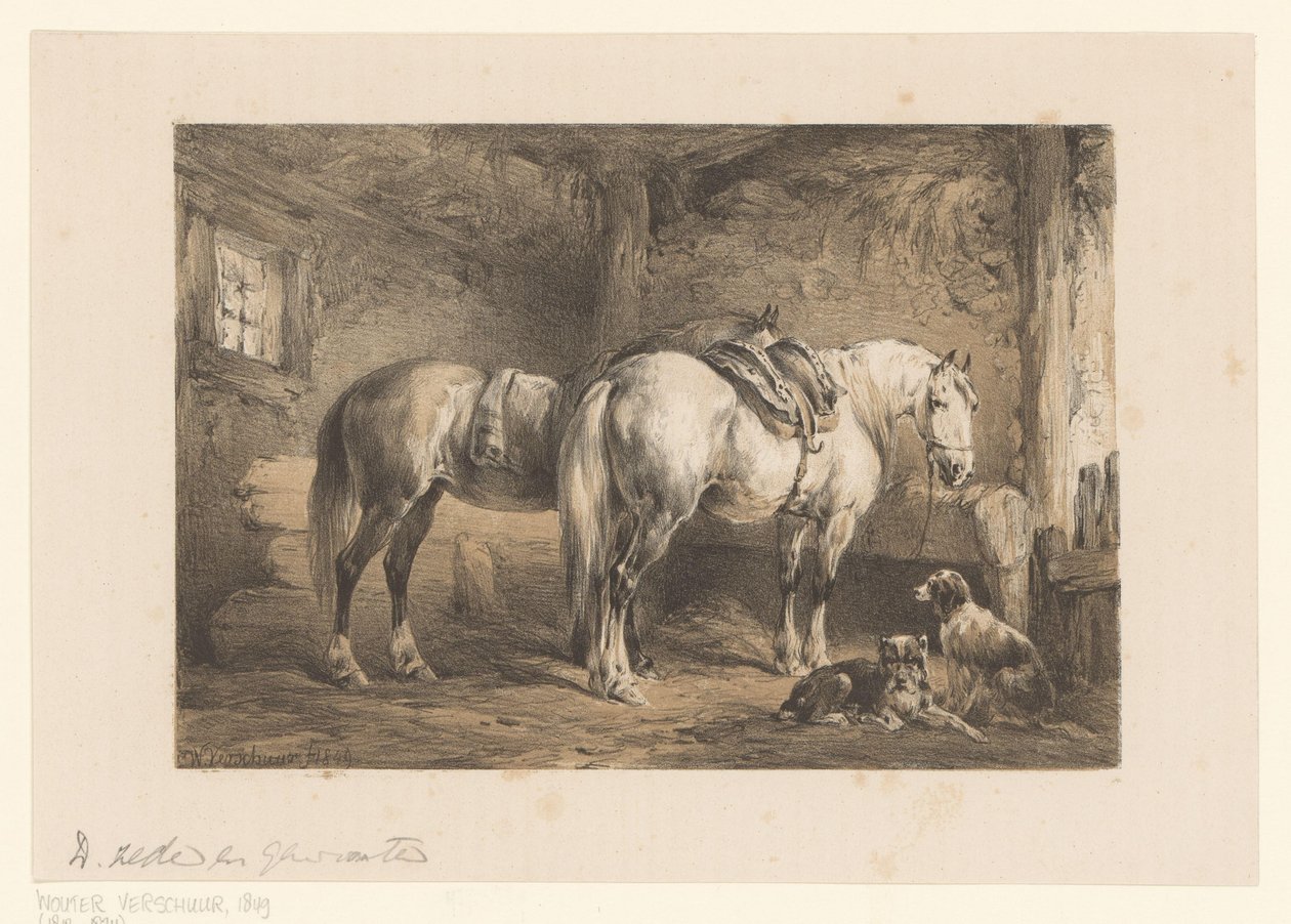 Dos caballos y perros en un establo de Wouter  Verschuur