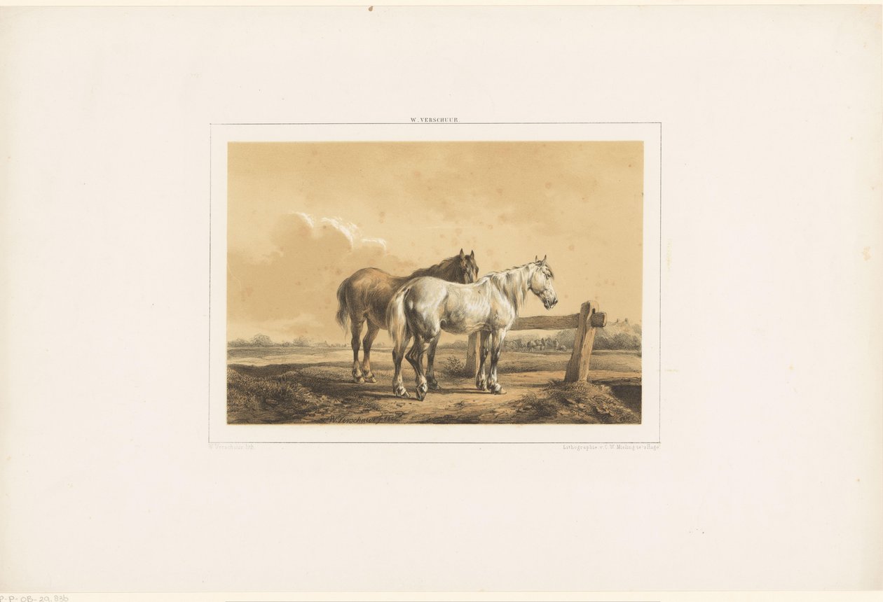 Dos caballos en un pasto cerca de una valla de Wouter  Verschuur