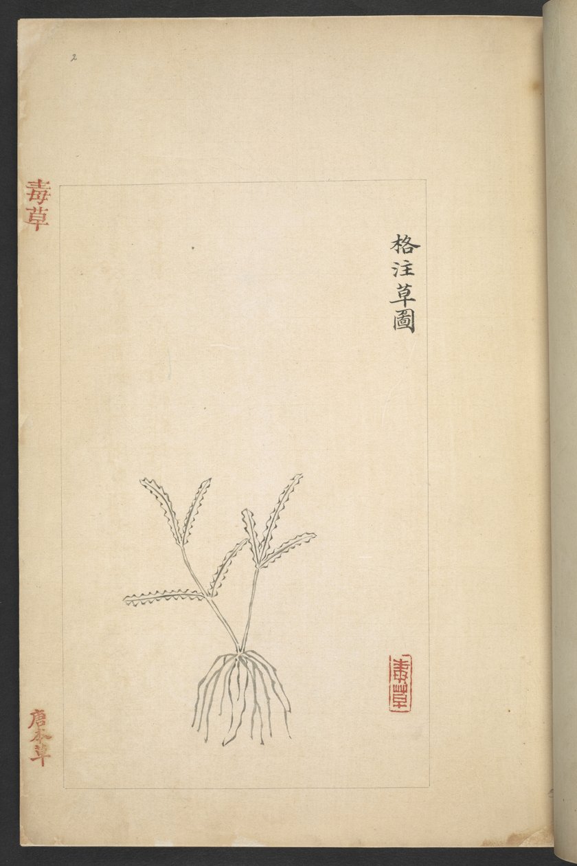 O 13347 B f.2r Plan de 