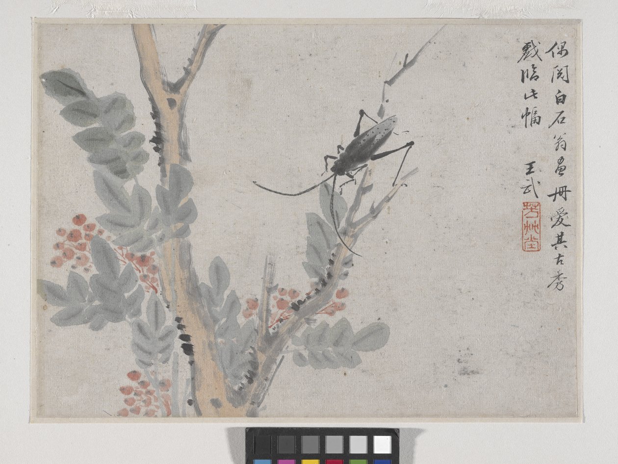 Insecto y árbol según Shen Zhou (tinta y color sobre papel) de Wu Wang