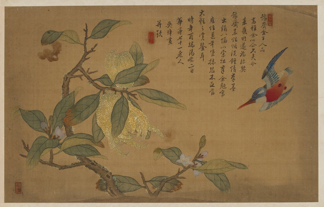 Pájaro, fruta y flores de Wu Zhang