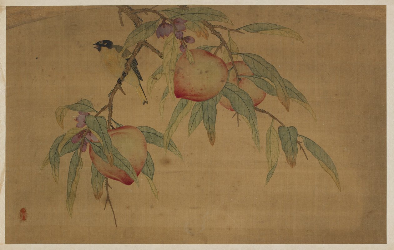 Pájaro, fruta y flores, dinastía Qing, 1741 de Wu Zhang