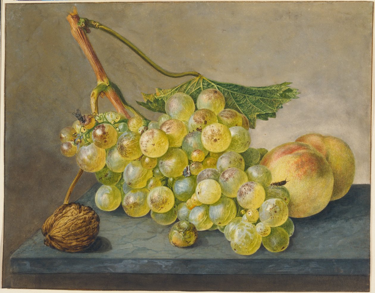 Naturaleza muerta con un racimo de uvas, una nuez y melocotones de Wybrand Hendriks