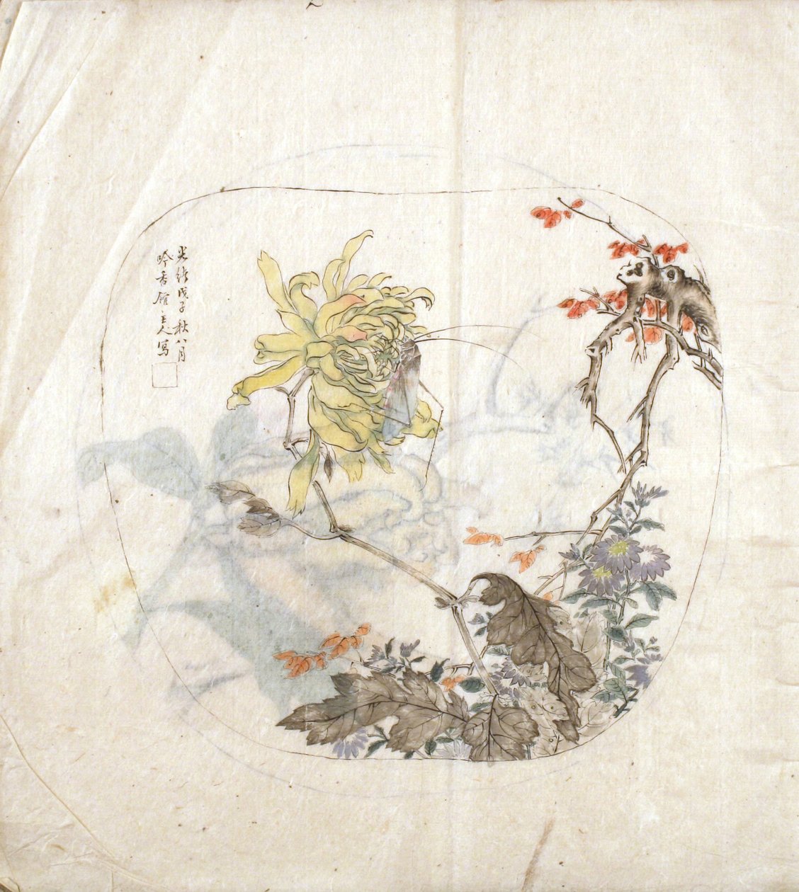 Un boceto de crisantemos de Yang Shichao