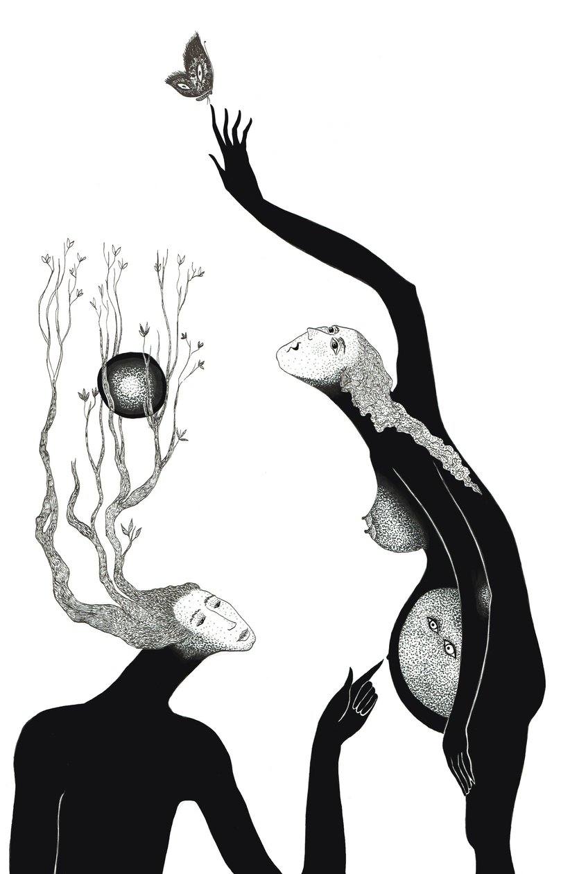 Nueva Vida, 2019 de Sabina Nedelcheva Williams