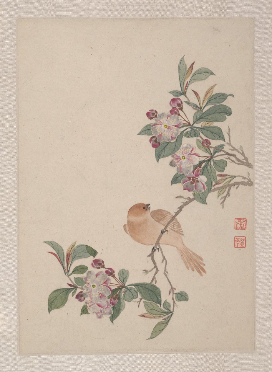 Aves, insectos y flores de Zhai Yi
