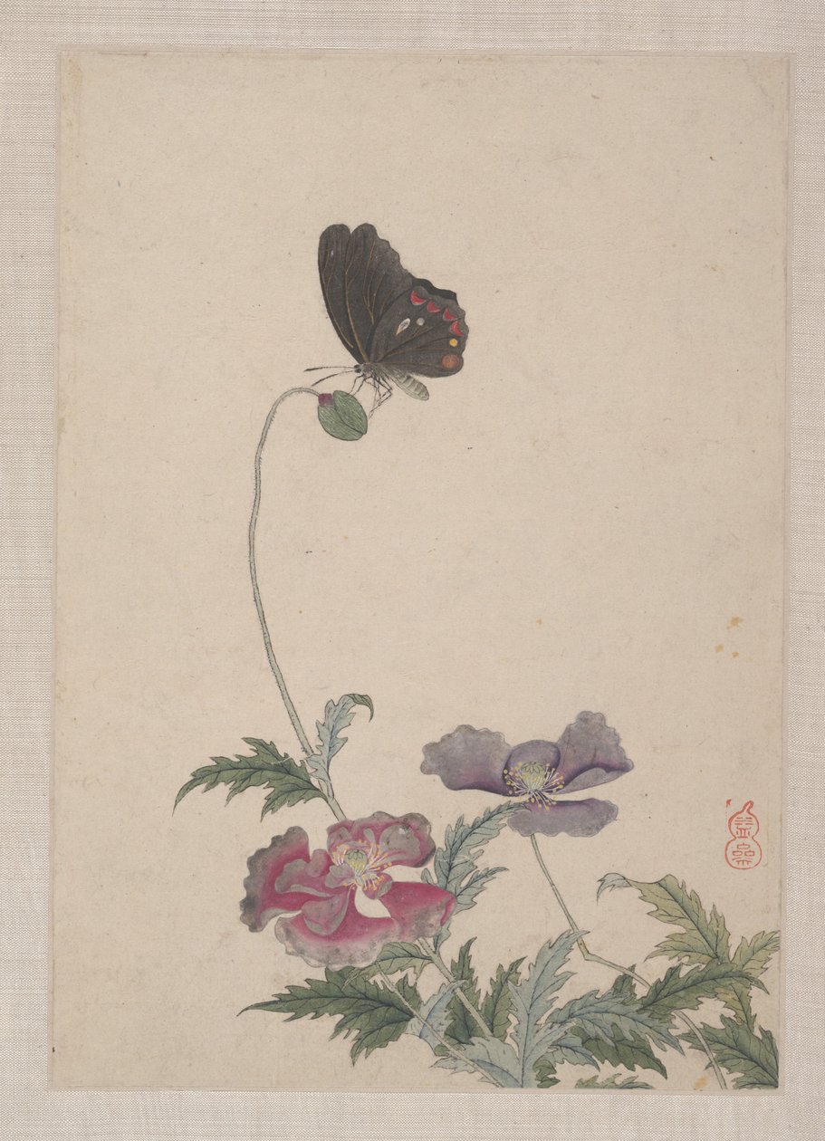 Aves, insectos y flores de Zhai Yi