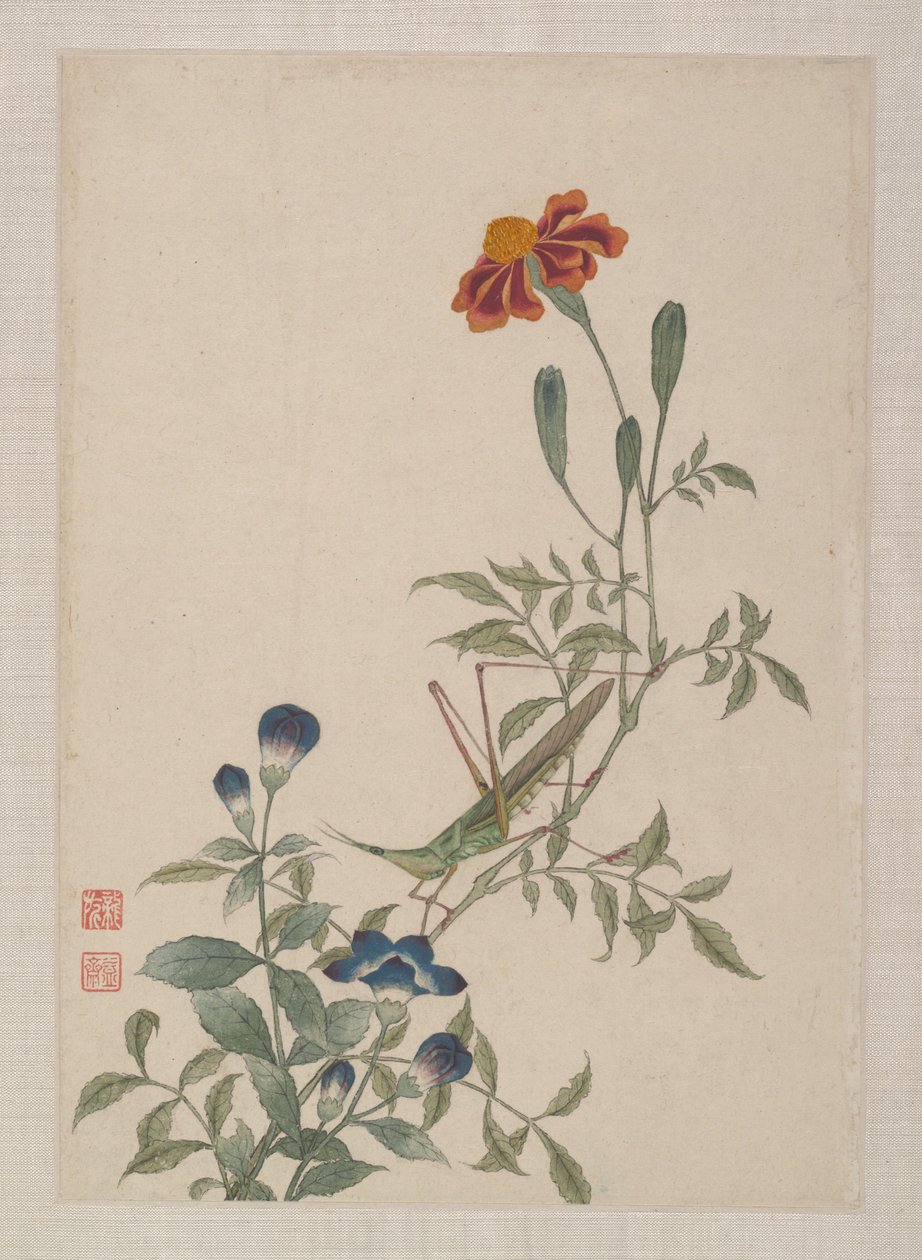 Aves, insectos y flores de Zhai Yi