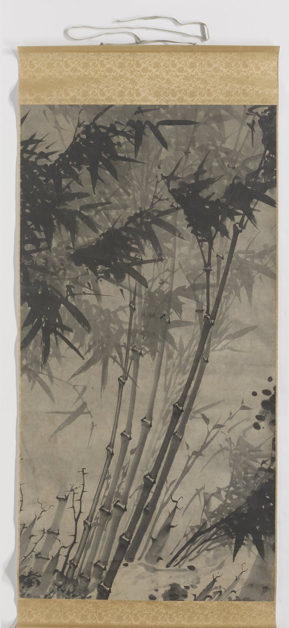 Bambú de Zhengxing (bijnaam Wuzhai)