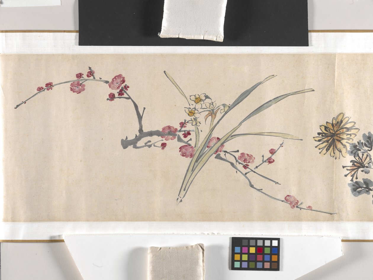 Flores de colores de Zhimian Zhou