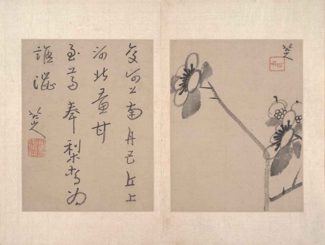  de Zhu da (attr.to) Bada Shanren