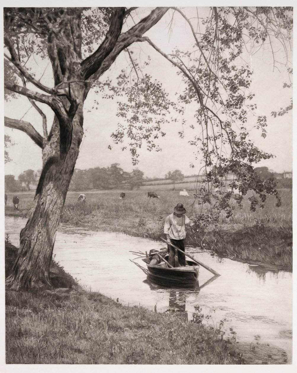 Un dique de Suffolk de Frederick (attr. to) Barnard