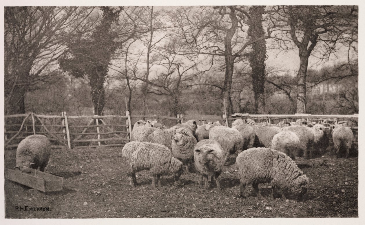 Un pastoral de otoño de Frederick (attr. to) Barnard