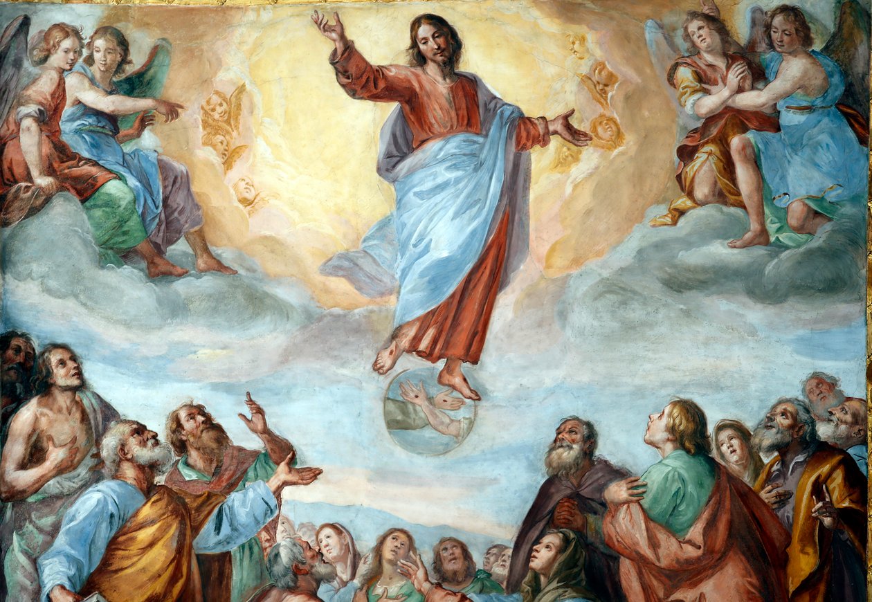 Ascensión de Cristo. La Basílica della Santissima Annunziata del Vastato. Génova. Italia. de . .