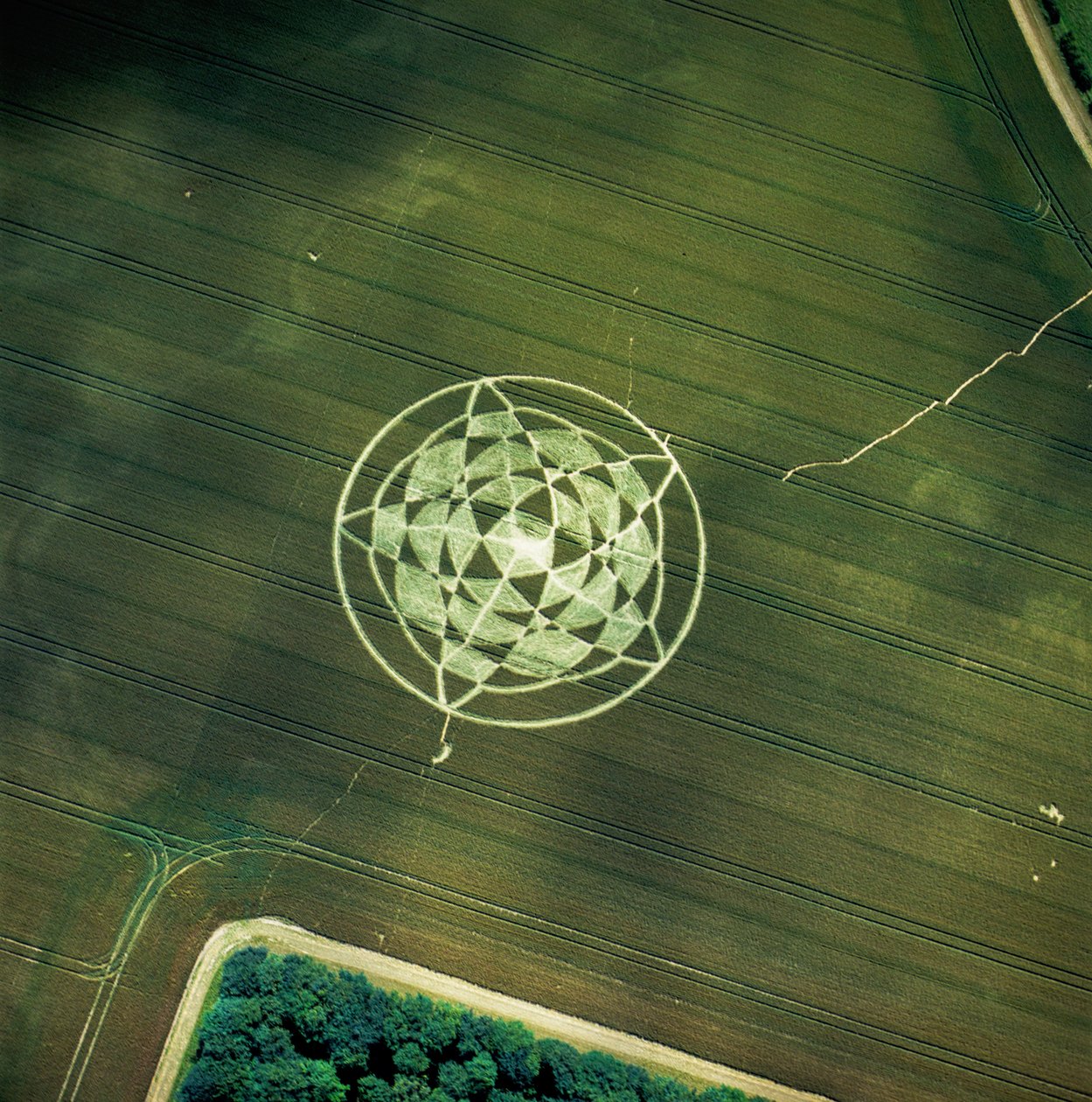 Círculo de cultivo en campo de trigo, Avebury Henge, Wiltshire, 22 de junio de 2002 de Ferdinand Georg Waldmuller