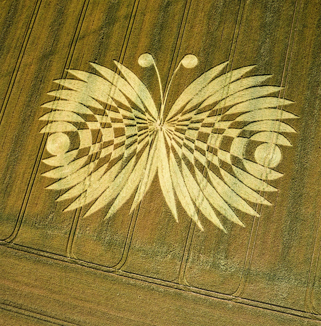 Círculo de cultivo en campo de trigo, Hailey Wood, Ashbury, Oxfordshire de Ferdinand Georg Waldmuller
