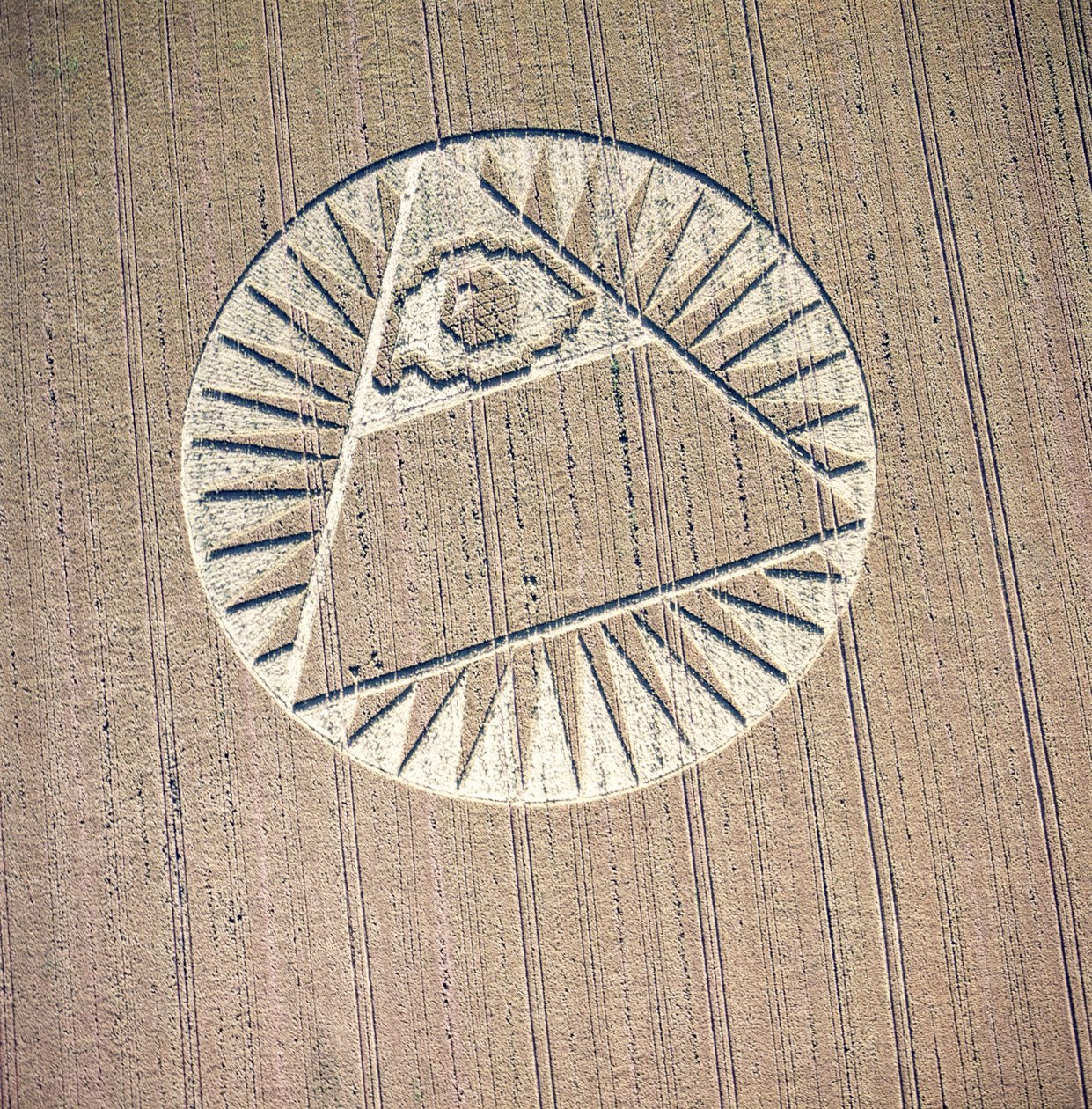 Círculo de cultivo en campo de trigo, Highclere, Hampshire, 21 de julio de 2002 de Ferdinand Georg Waldmuller
