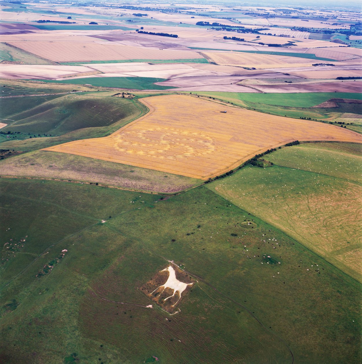 Círculo de cultivo en campo de trigo, Milk Hill, Alton Priors, Valle de Pewsey, Wiltshire de Ferdinand Georg Waldmuller
