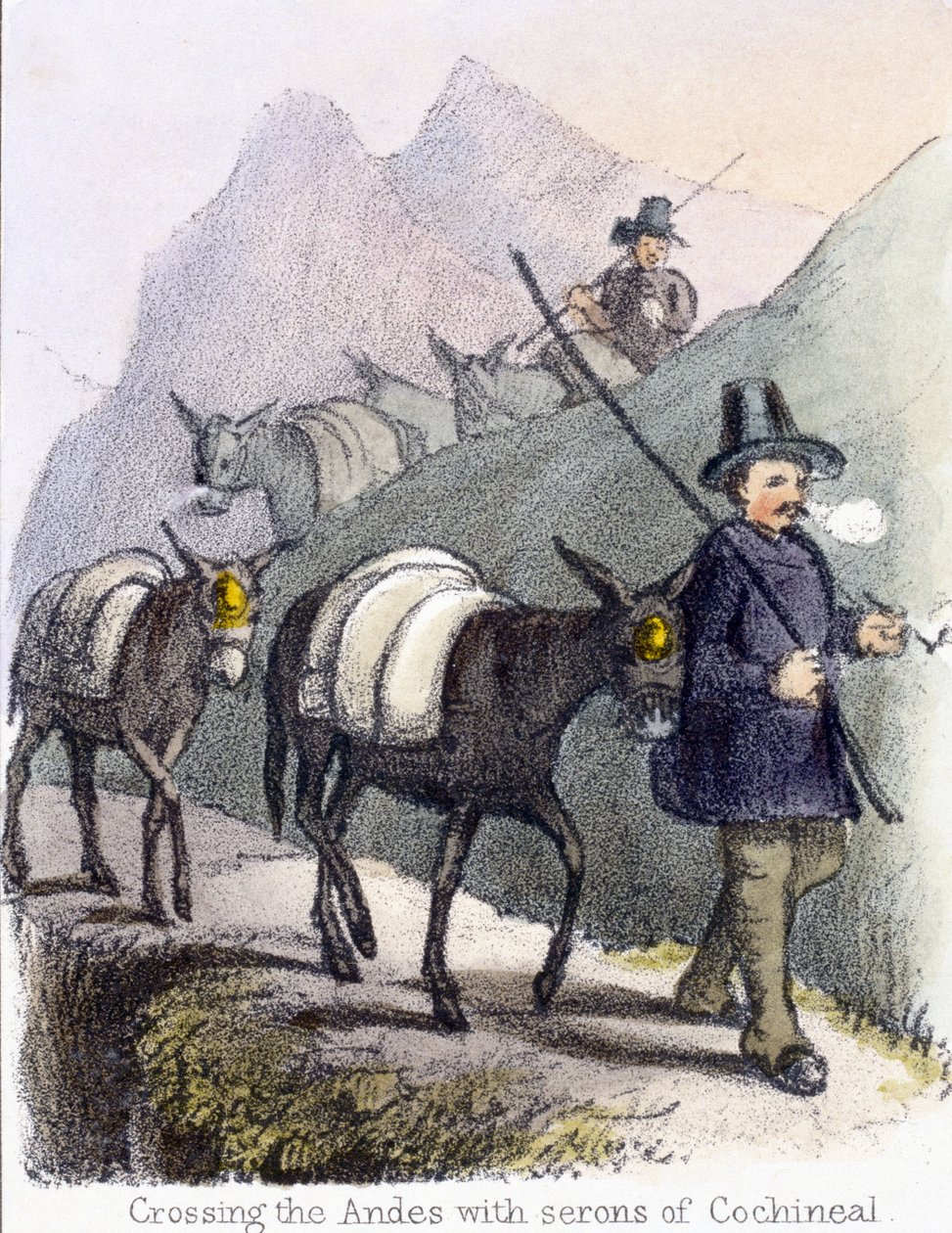 Cruzando los Andes con serones de cochinilla, c. 1845 de Frederick (attr. to) Barnard