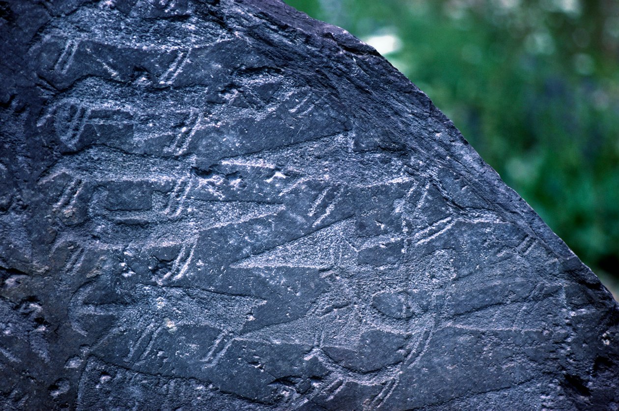 Primer plano de dibujos rupestres en el Parque Nacional de Naquane de Isabel Redie