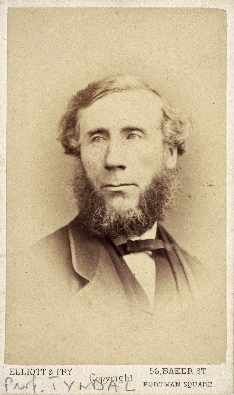 John Tyndall, físico irlandés, c. 1875 de Frederick (attr. to) Barnard
