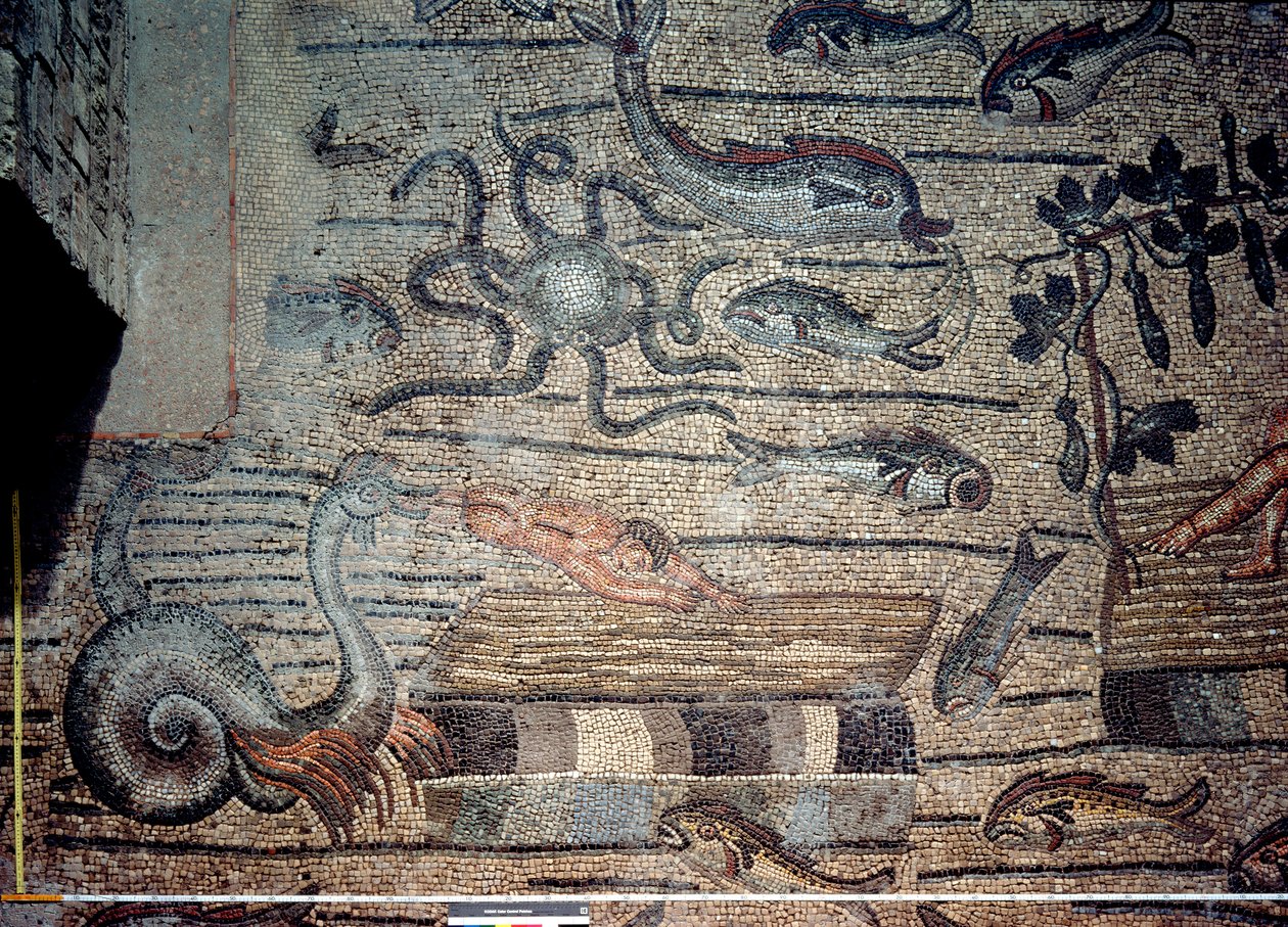 Jonás siendo escupido por la ballena, detalle de un pavimento decorativo que representa imágenes cristianas y símbolos paganos, c.313 d.C. de Hippolyte Lalaise Devéria